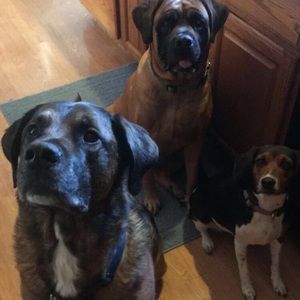 Meet your Posher, Danielle